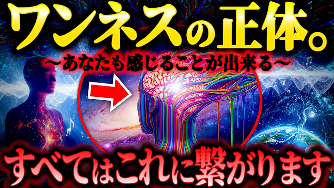 ※すべてが１つである『ワンネス』に気付く方法がヤバすぎた...【都市伝説 ワンネス 大いなる意識】
