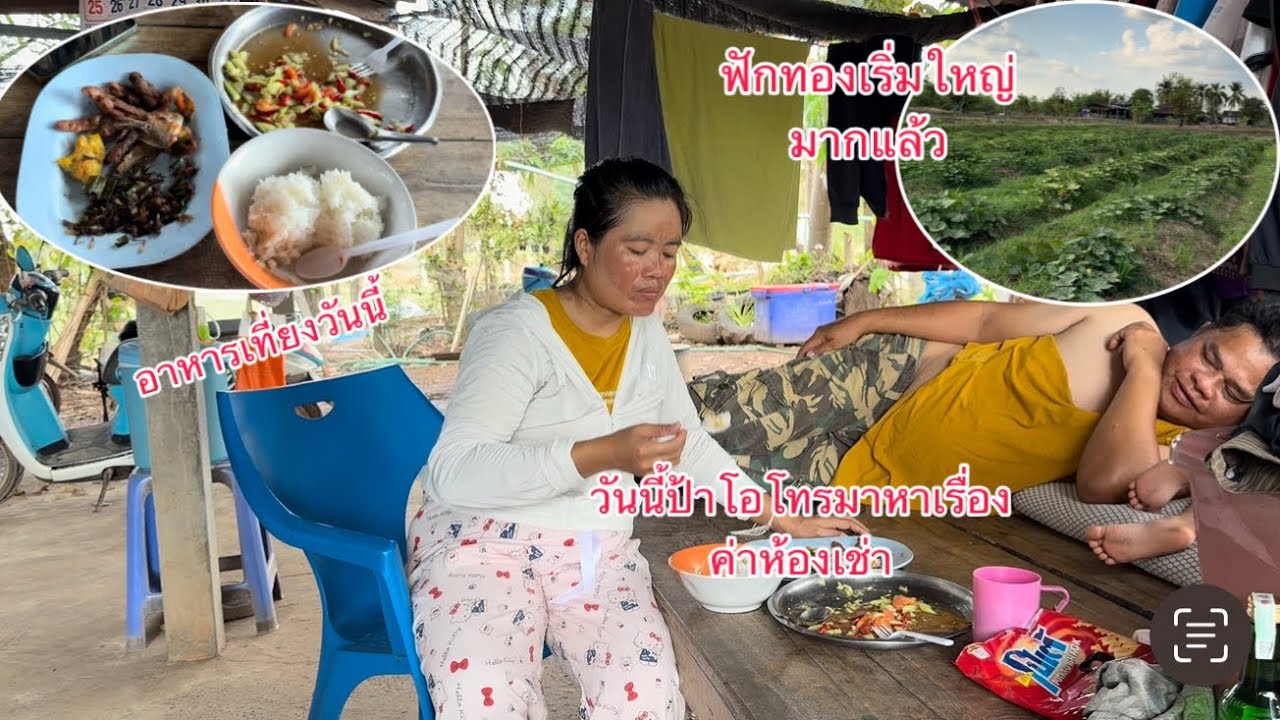 กินข้าวคนเดียววันนี้ป้าโอโทรมาหาเรื่องค่าห้องเช่าฟักทองเริ่มใหญ่มากแล้ว/ປ້າໂອໂທມາເລື່ອງຄ່າຫ້ອງເຊົ່າ