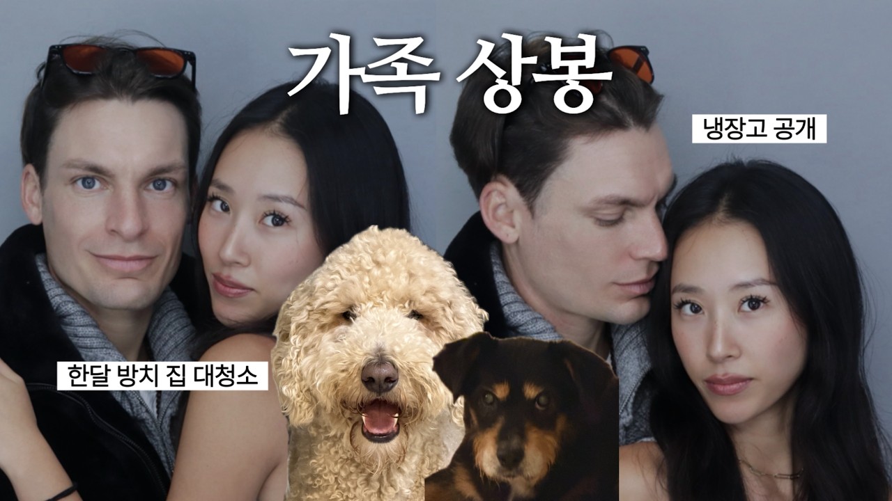 한달만에 가족상봉 브이로그💦 장기여행 후 돌아온 국제커플은 뭘 했을까?🇰🇷 뭐니뭐니해도 집이 최고야.. 🐶