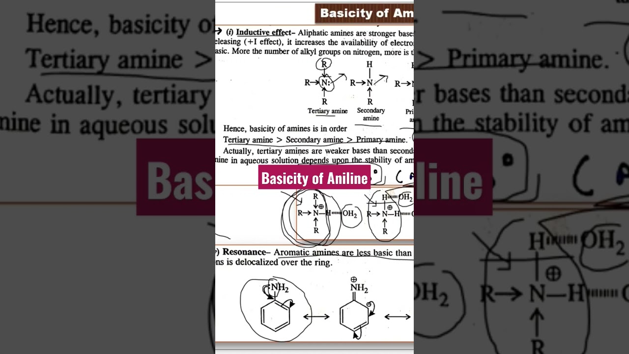 Basicity of Aniline