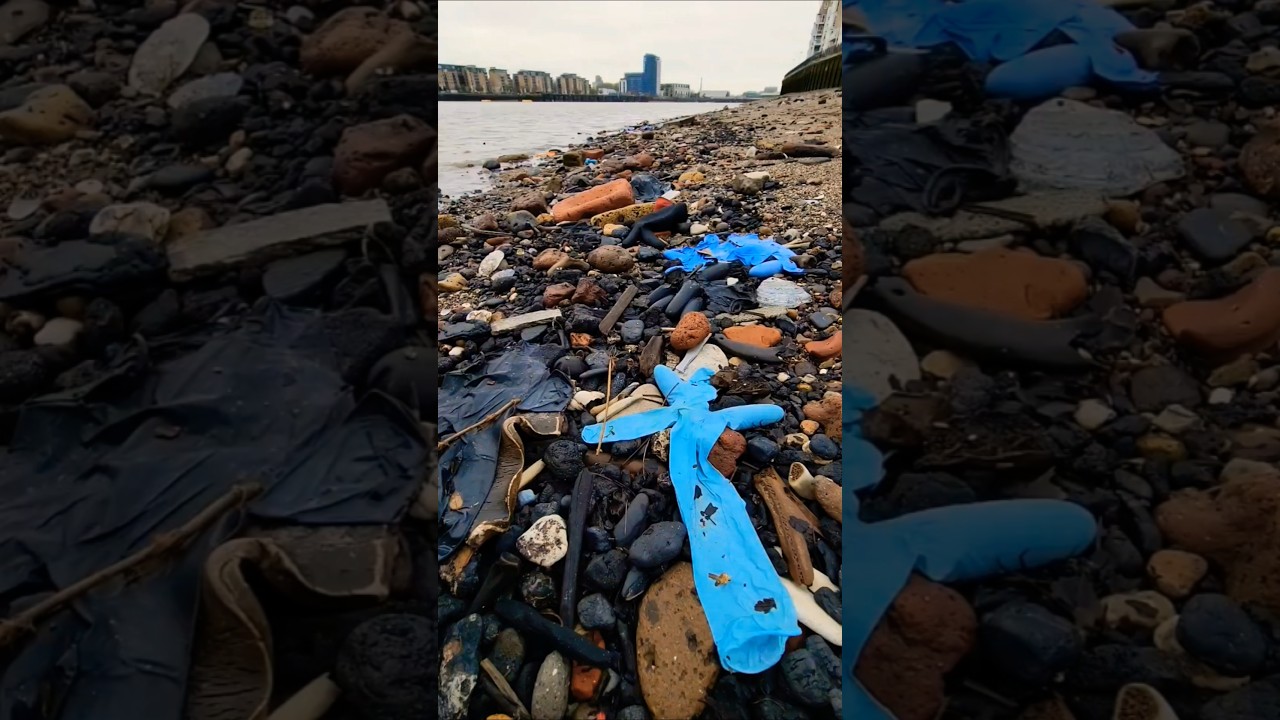 36 Gloves Mudlarking the River Thames #metaldetecting #beachcombing #river #london #treasure