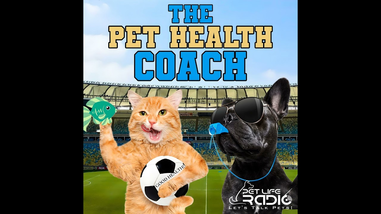 The Pet Health Coach Episode 37 Which Supplements - And Some You May Not Have Heard Of - Can Have...
