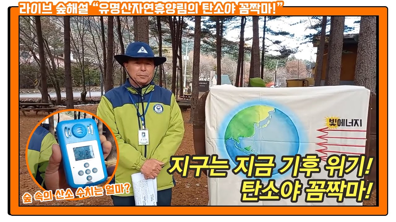 숲해설가가 전해드려요! 국립유명산자연휴양림의 탄소야 꼼짝마!