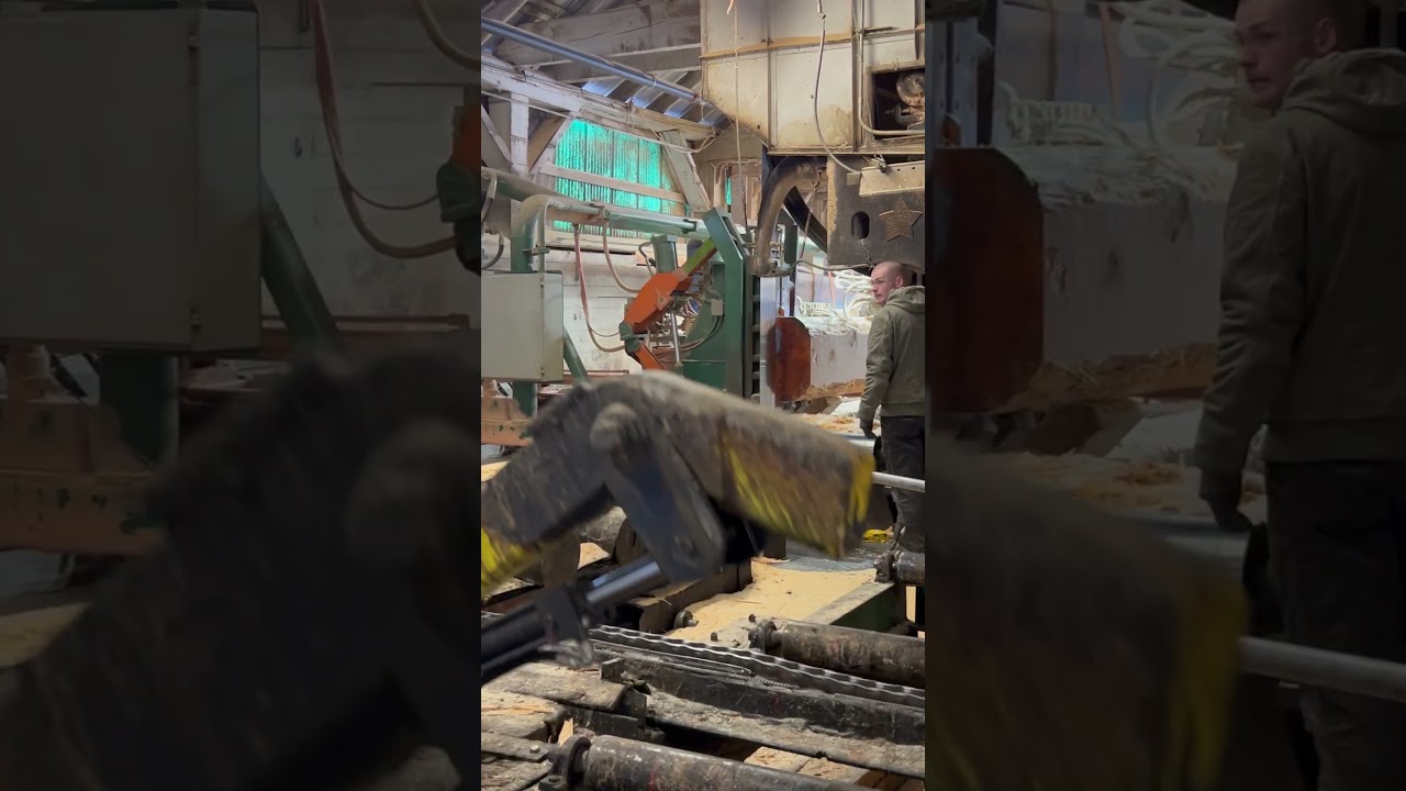 Hull Oakes Mill Head Rig 2025