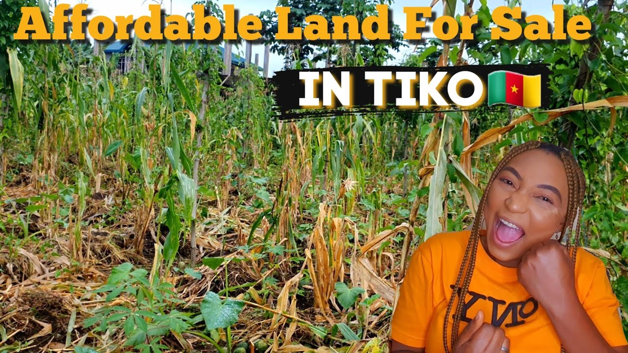 1000m² Land For Sale In Tiko Cameroon|Best Real Estate Deal In Cameroon Right Now
