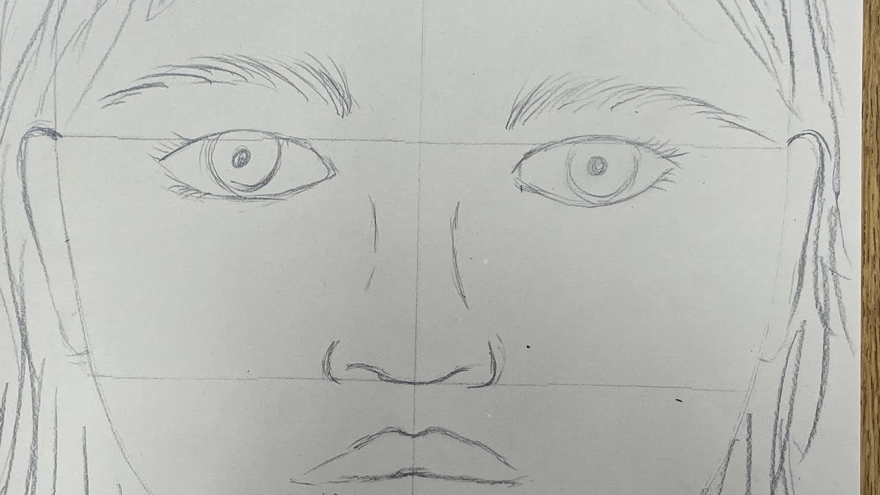 Face Proportion Practice