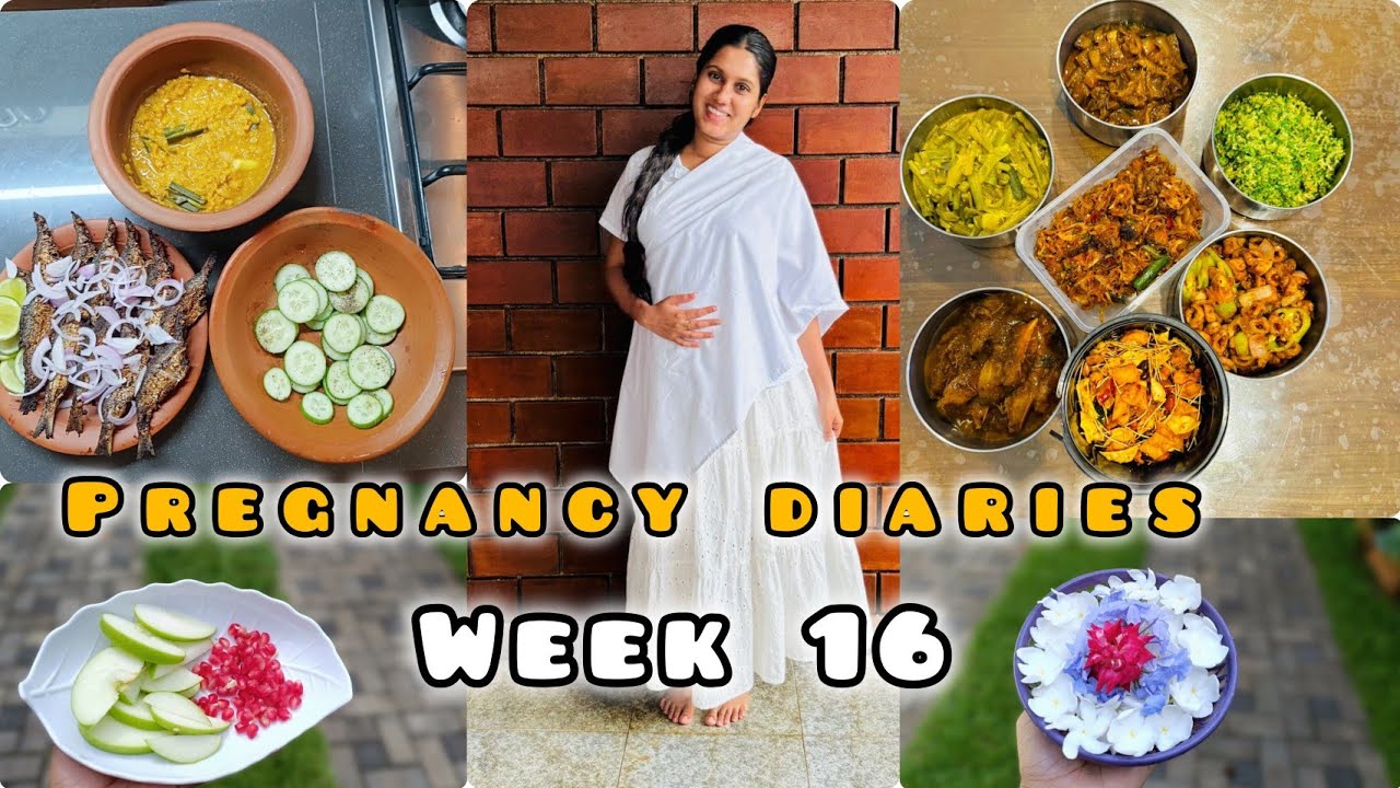 Pregnancy diaries | week 16| Realistic Sri Lankan Life 🇱🇰| How to balance life with pregnancy 