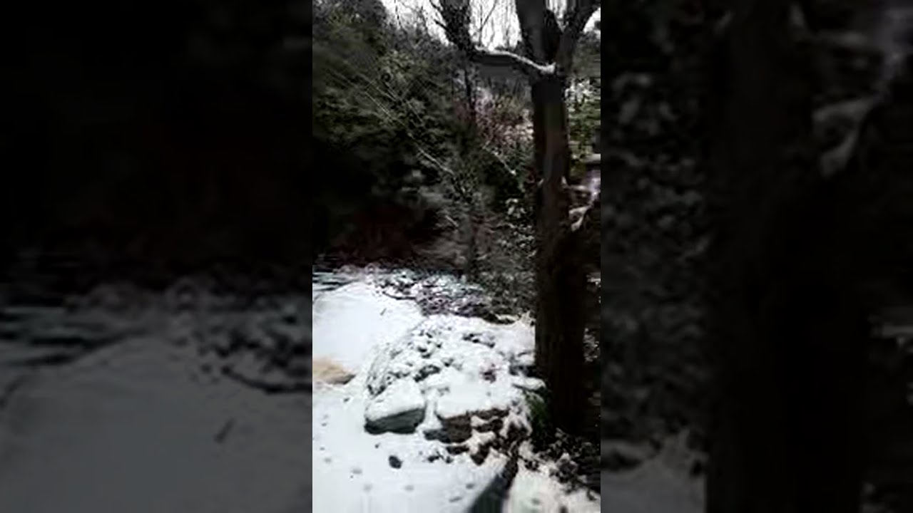 Pahari diaries hp is live Telka Valley ❄️☃️
