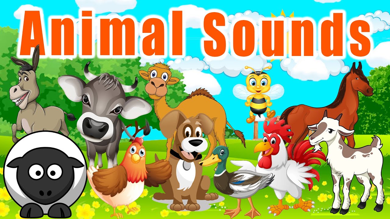 Animal Sounds Fun | Animal Sounds for Babies | LittleKidsTV