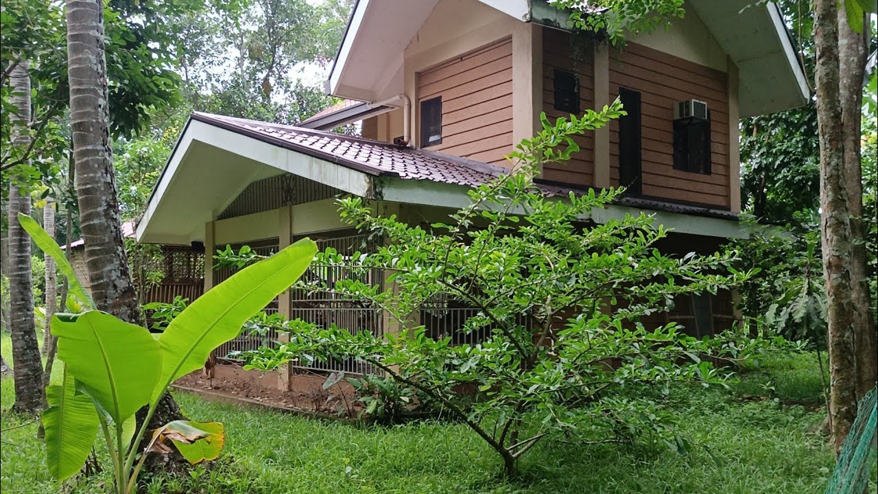 (P# 809) Farm House 5,000 sqms @ 8 Million negotiable price Pila, Laguna
