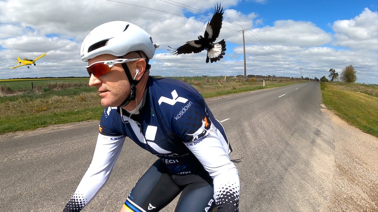 Swooping Magpies and Swooping Crop Dusters // Springtime in Australia 🌼🚲🦅