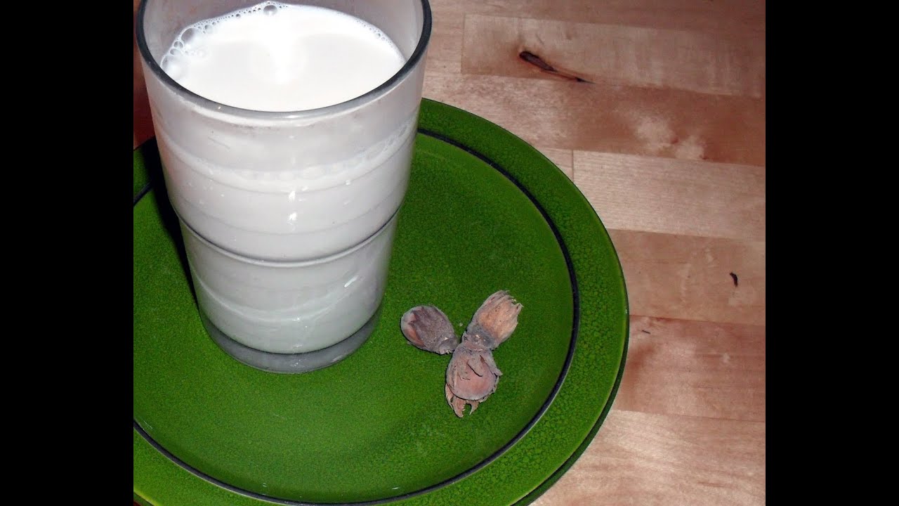 Haselnussmilch / Mandelmilch einfach selber machen (Raw Vegan Hazelnut / Almond Milk)