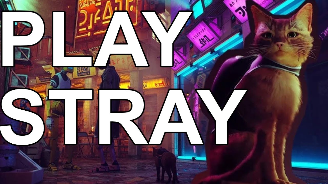 Why you should play Stray - Review
