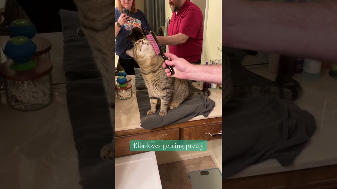 Ella Getting Pretty