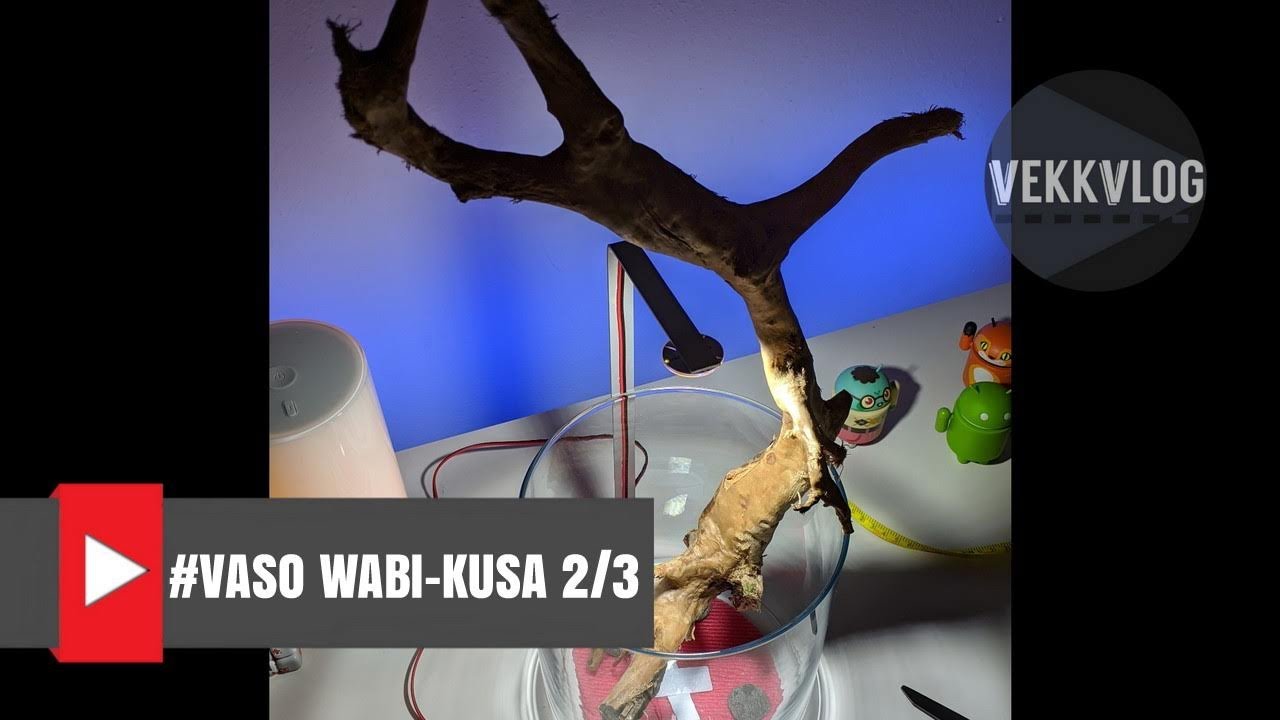 Vaso stile Wabi-Kusa fai da te - LUCE - Capitolo 2 di 3