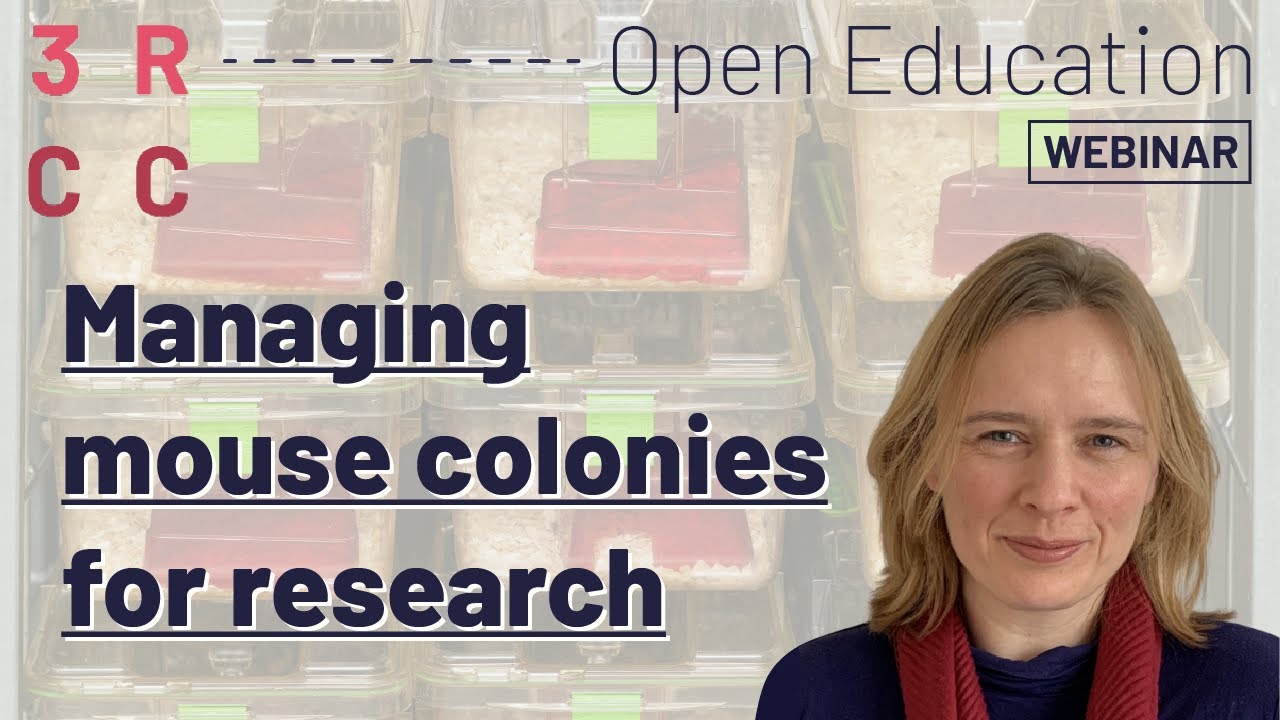 Colony Management  - Efficiency and Engagement at the Crick by Sarah Hart-Johnson