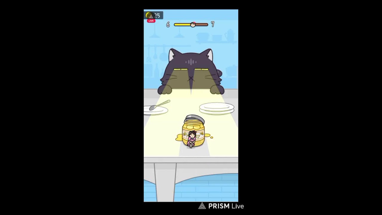 Can You Escape This ? 🤯| Hide And Seek Cat Escape #live