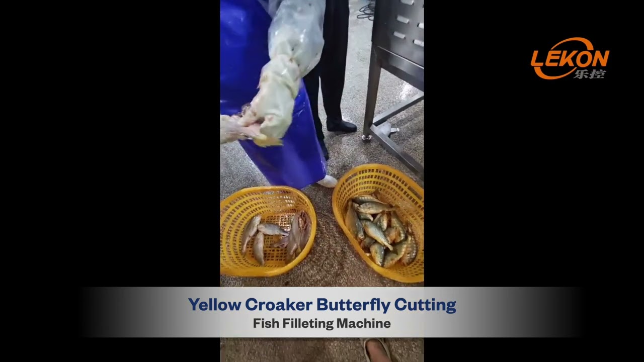 Fish Filleting Machine | Fish Butterfly Cutting