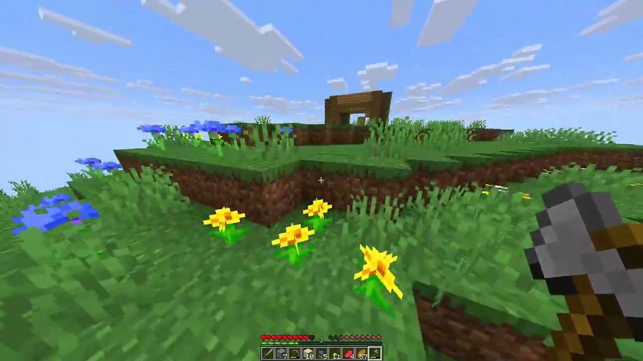 MY FIRST DAY IN MINECRAFT | Lil Run Gaming