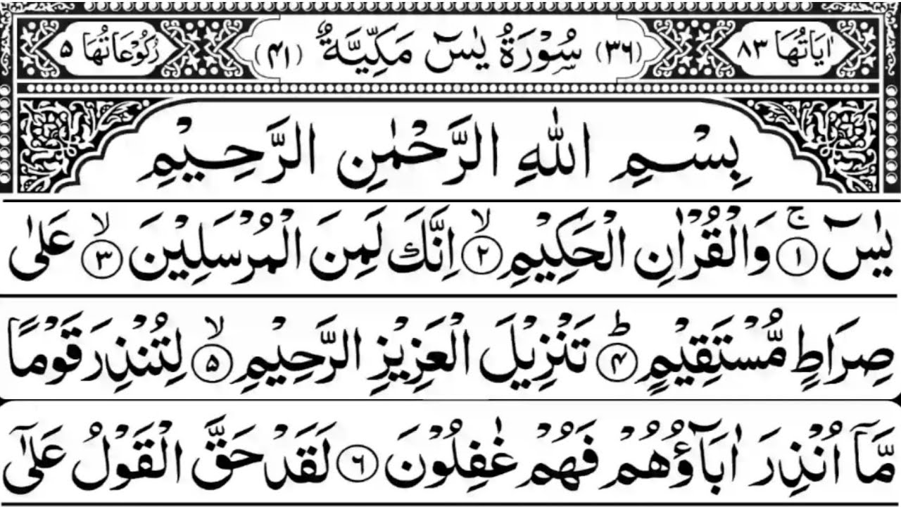 Surah Yaseen | Yasin | Episode 1019 Daily Arabic Tilawat Surah Yasin Surah Rahman Quran Recitation