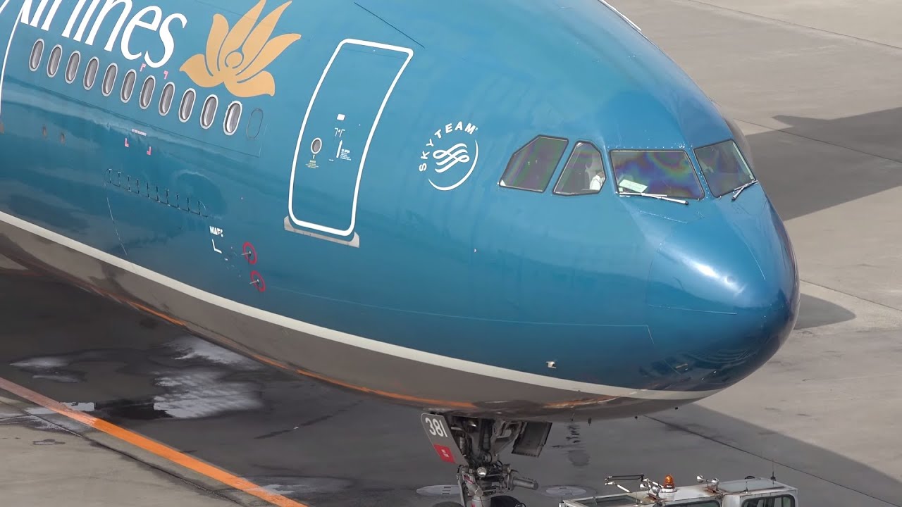 Vietnam Airlines Airbus A330-200 VN-A381 [NRT/RJAA]
