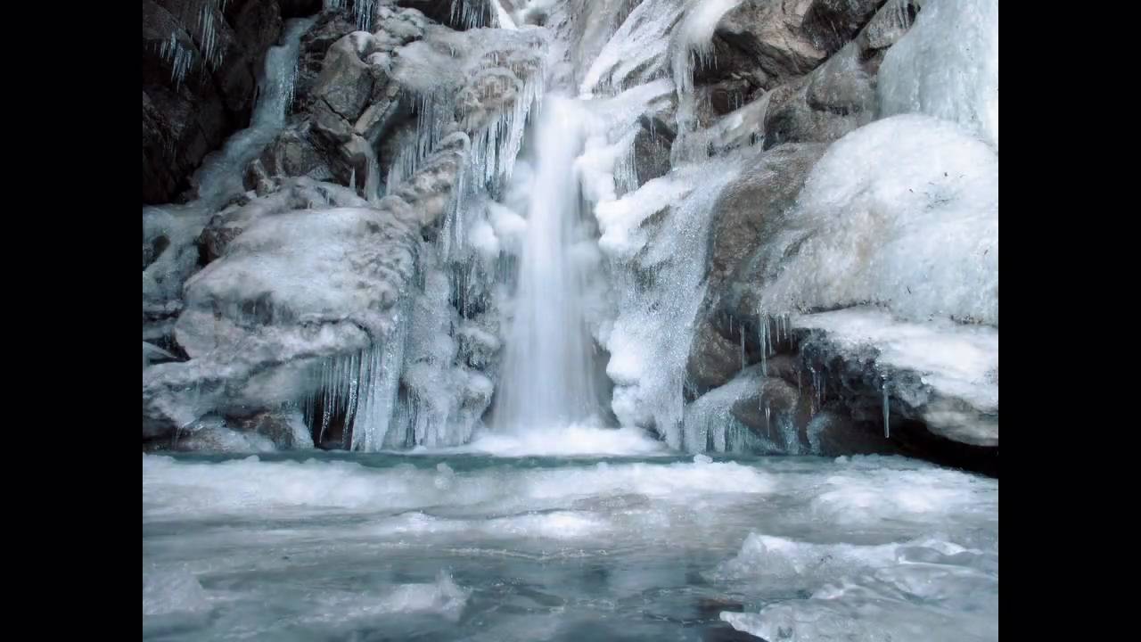 Die 4 Jahreszeiten: Der Winter