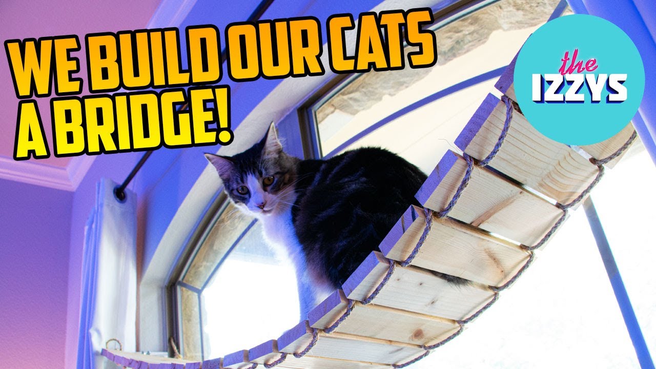We build a RICKETY CAT BRIDGE!