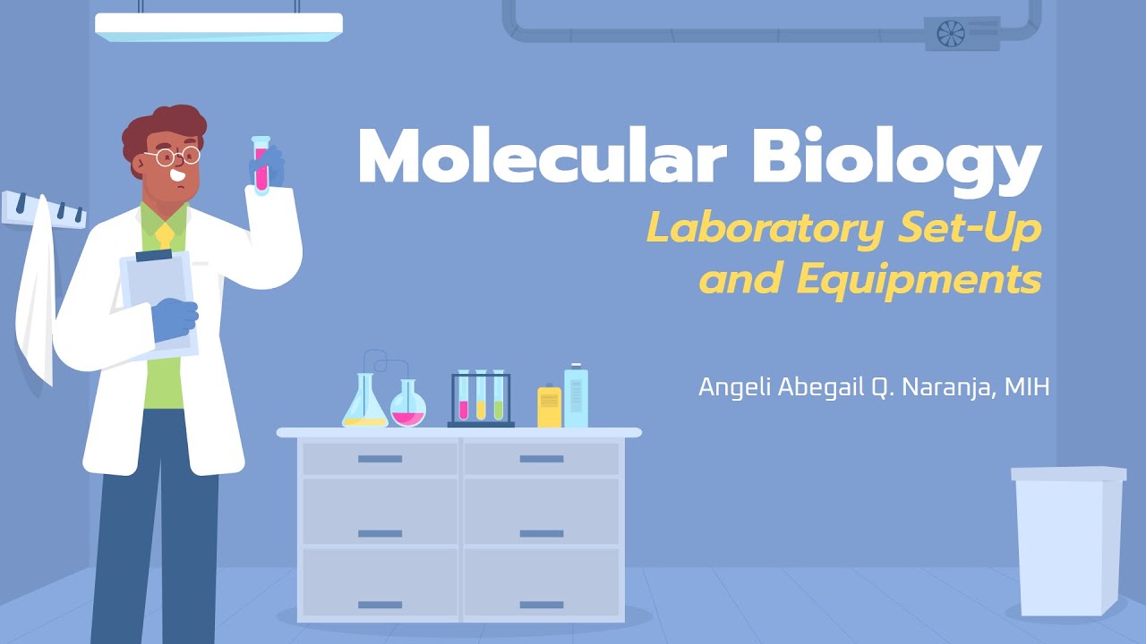 Molecular Laboratory Equipments and Set-up Workflow Filipino