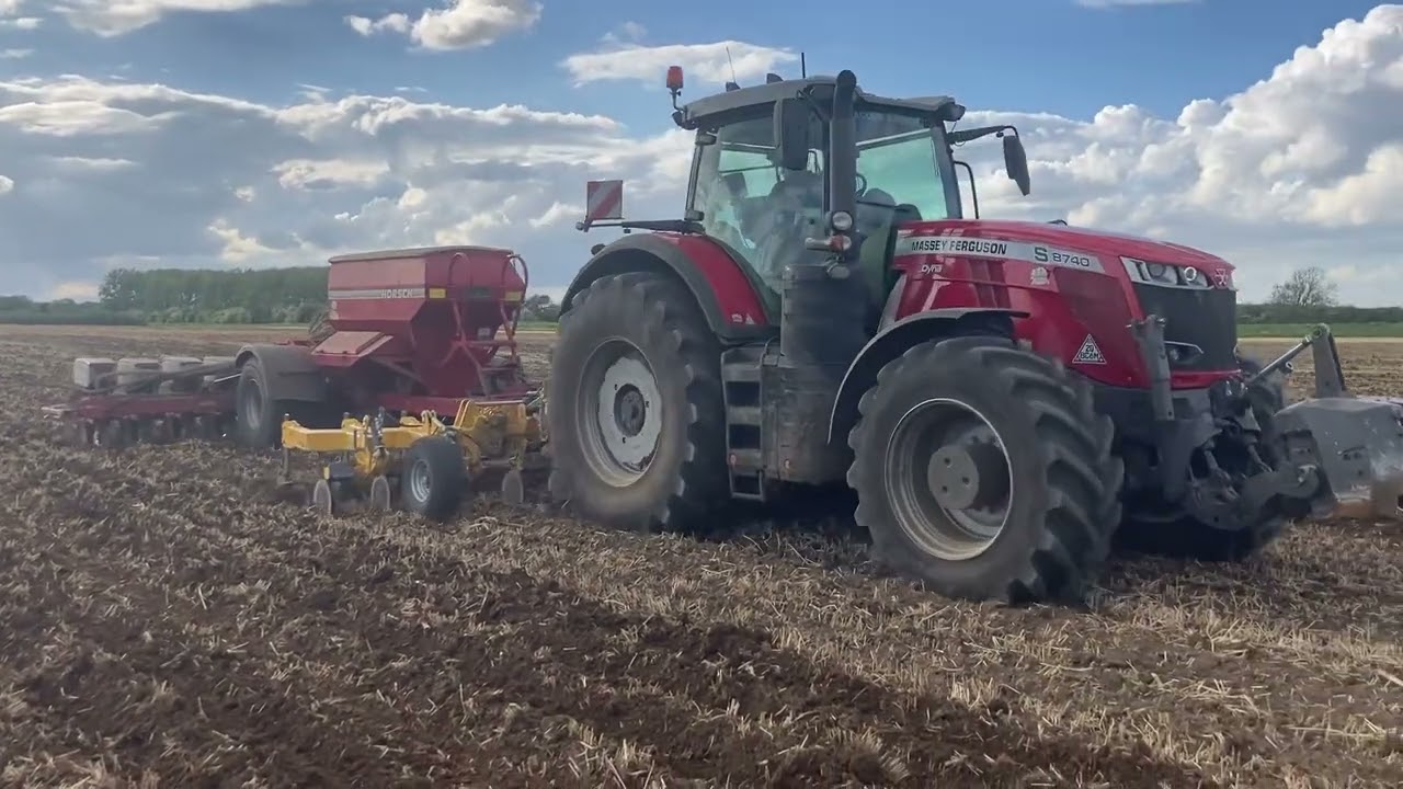 Drilling maize