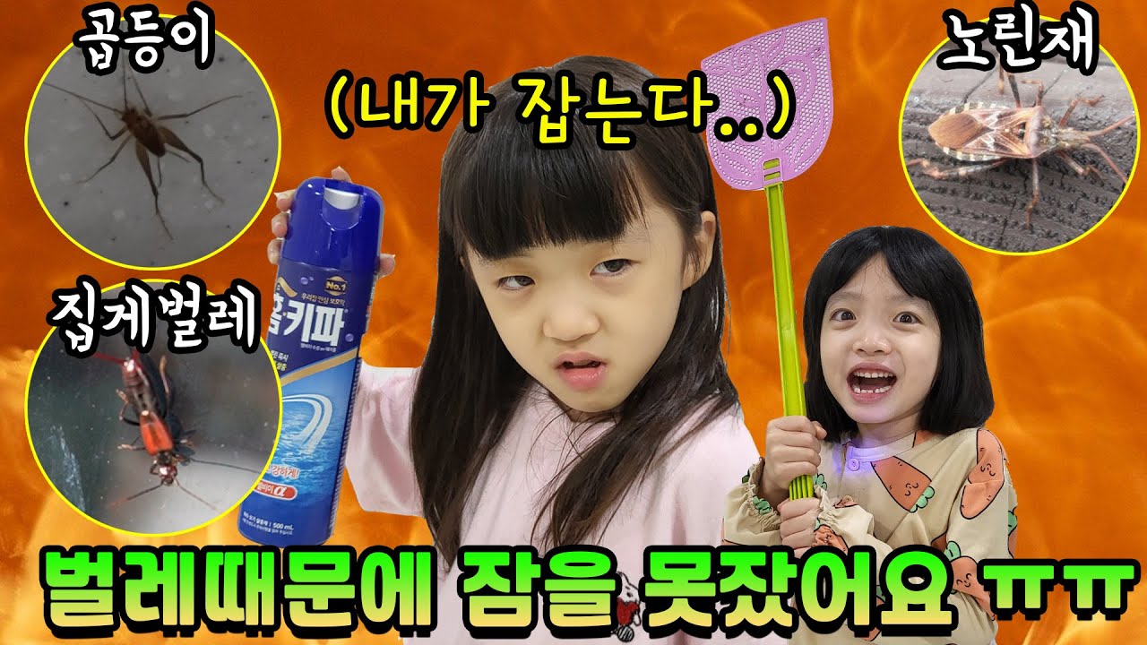 방에 나타난 벌레들 떄문에 가족들 모두 잠을 설쳤어요 ㅠㅠ ㅋㅋㅋ 과연 겁쟁이 가족들은 벌레들을 어떻게 잡았을까요? [가족여행 브이로그]