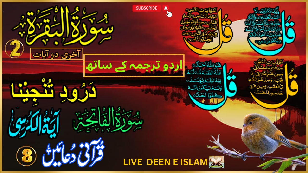 🔴 Evening Wazifa 4Qul AyatulKursi |Darood|Fatiha |SurahBaqarah Last 2Verses| 8Powerful Duain EPL 974