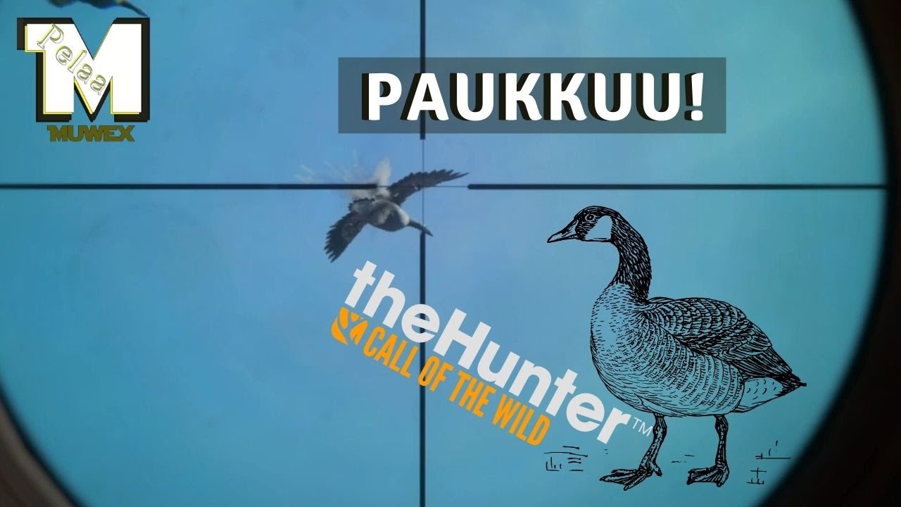 theHunterCOTW Hanhet toimii