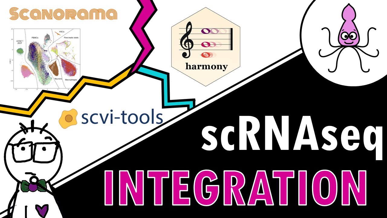 Comparing single-cell integration methods - which one should you use?