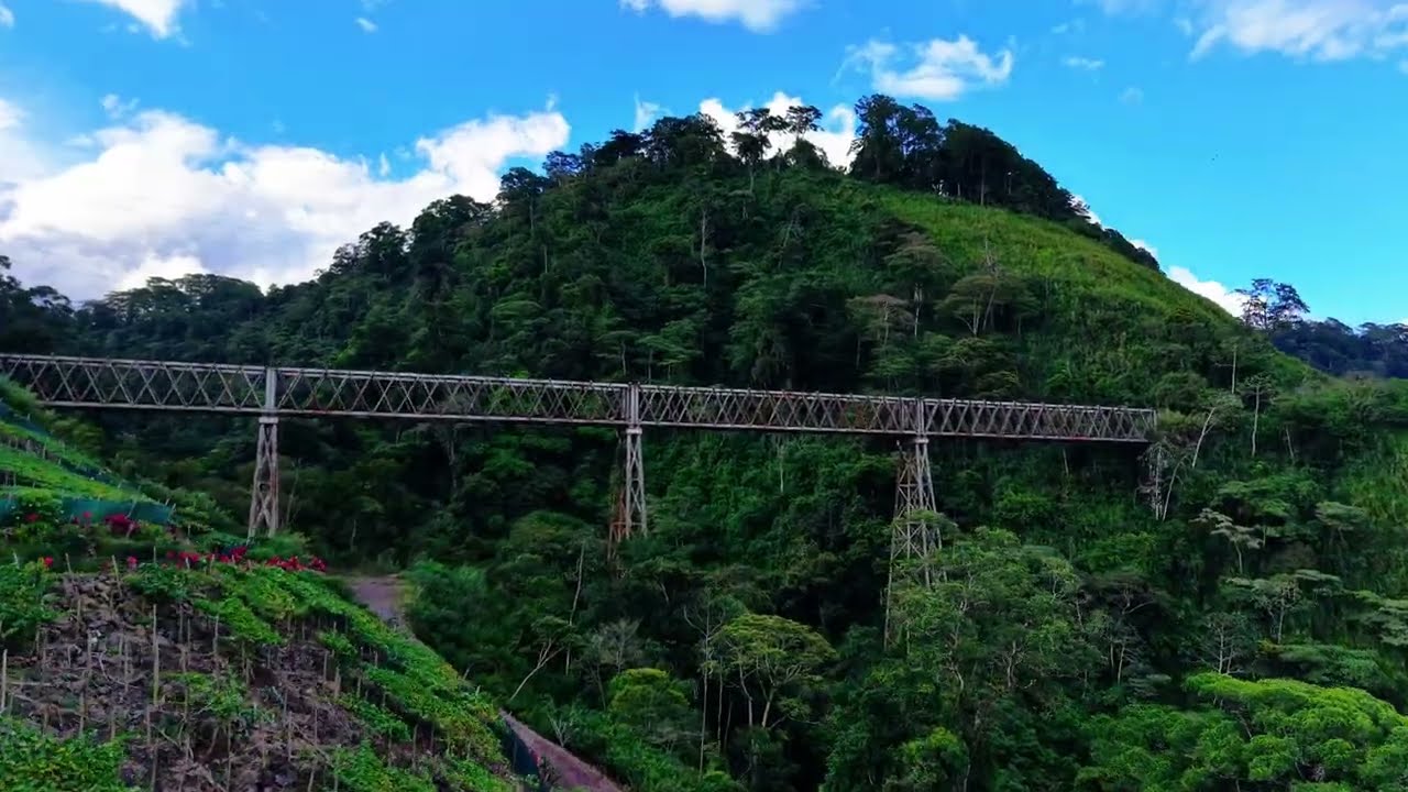 Puente Ferroviario en Santiago de Paraíso Cartago! Historia, Leyendas y Su Legado en Costa Rica.
