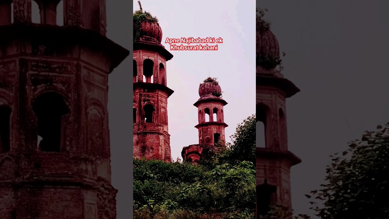 Char Minar || Najibabad ki ek Khubsurat kahani || #trending #najibabad #shortsfeeds #youtubeshorts