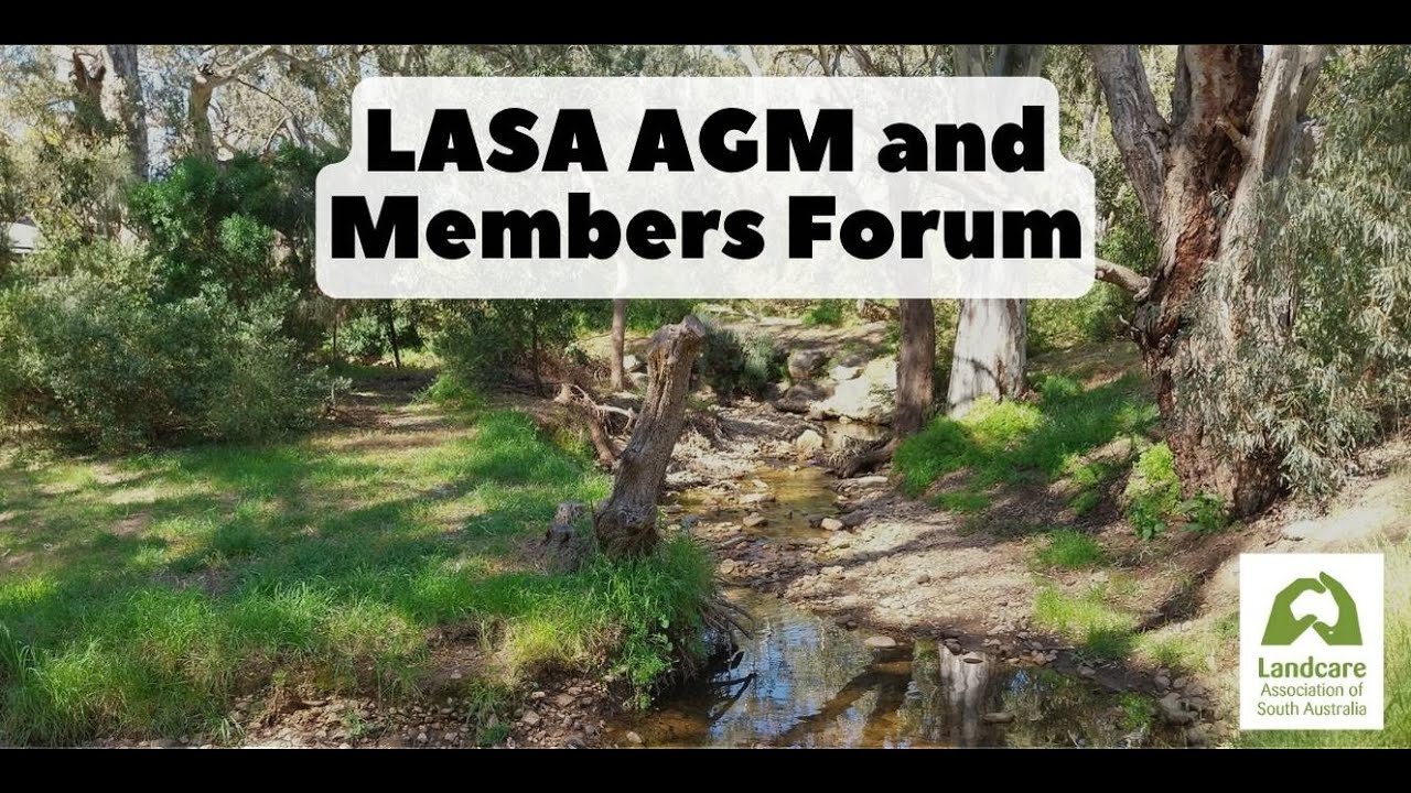2023 LASA Members Forum and AGM