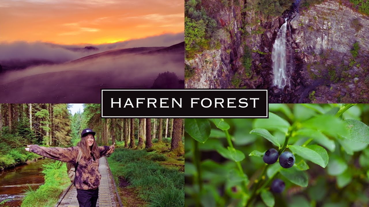 HAFREN FOREST | Walk, swim and drone with us #hafrenforest