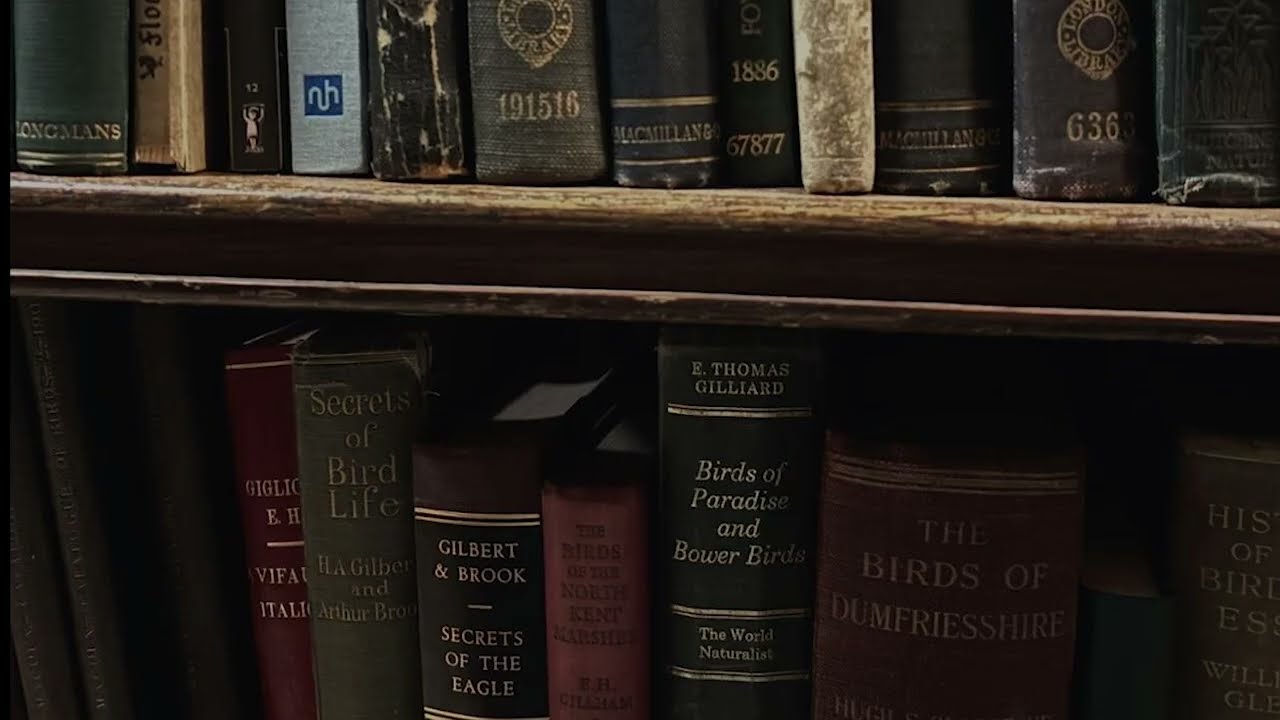 you are a sad poet reading thomas eliot and thinking the past - dark academia study playlist
