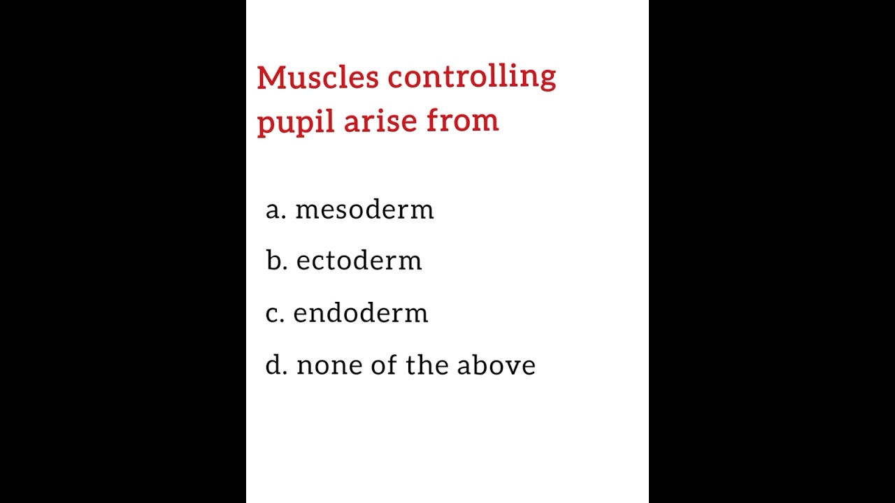 Muscles controlling pupil arise from....