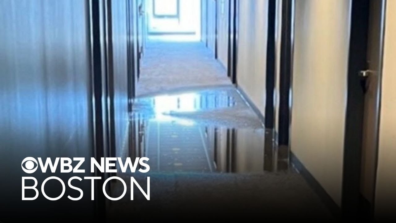 UMass Boston students displaced after burst pipe causes flooding