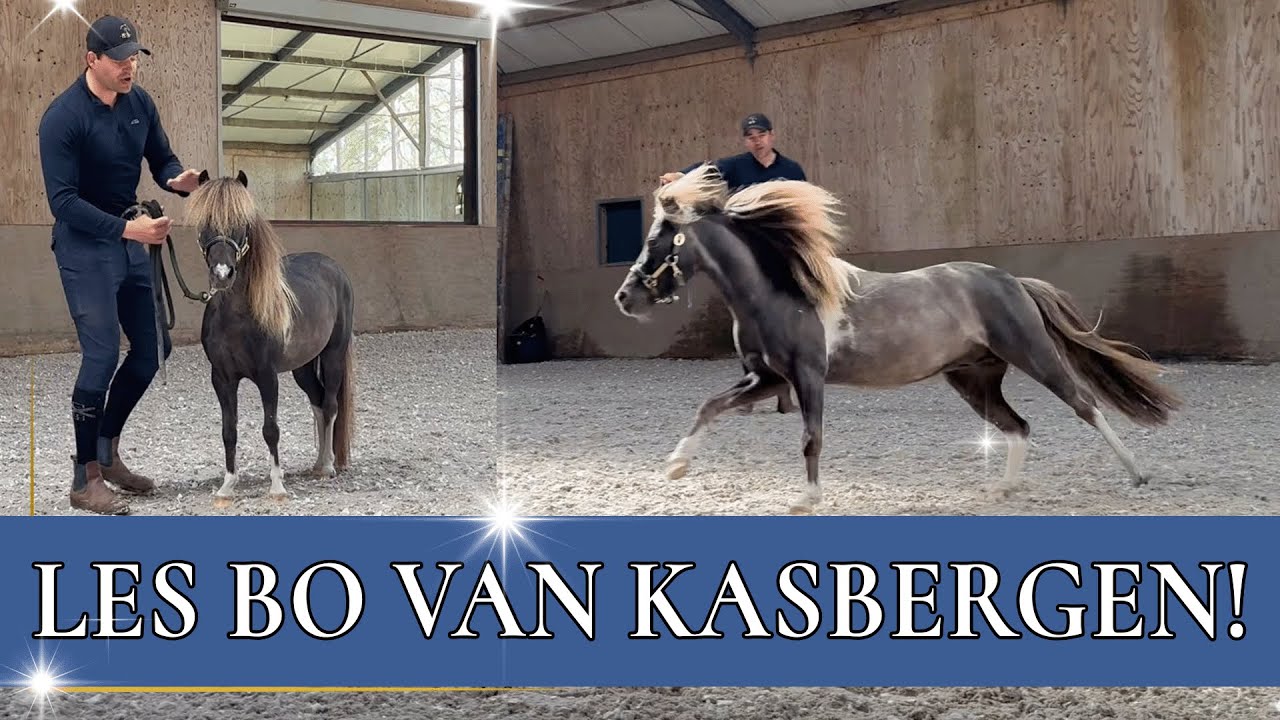 Grondwerkles met TEDDY! | PaardenpraatTV