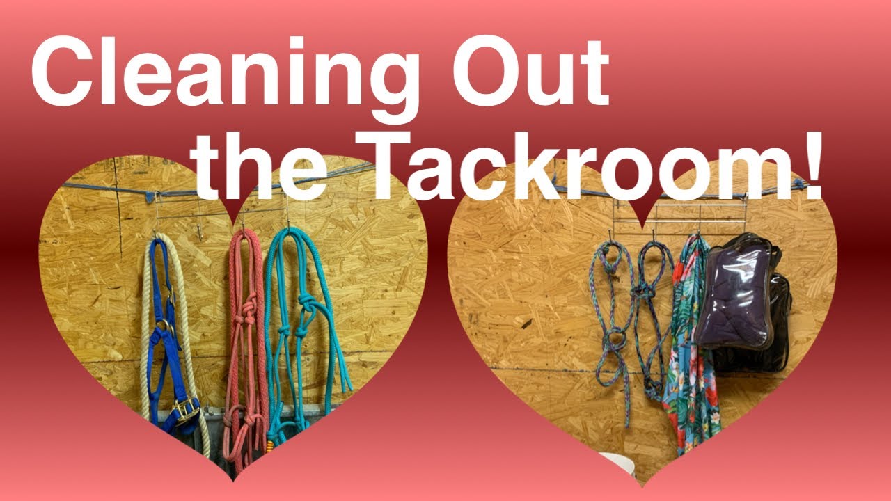 Cleaning Out the Tackroom! |Cleaning/Grooming | Green Eyed Cowgirl