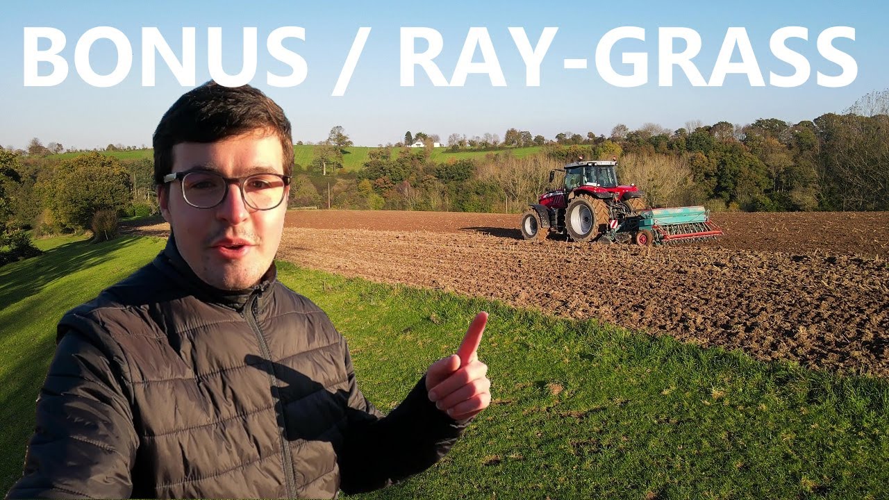 Bonus ! SEMI DE RAY-GRASS