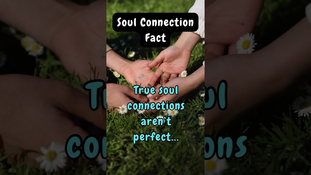 Soul connection fact - True soul connections aren't perfect #soulconnection #soulconnections