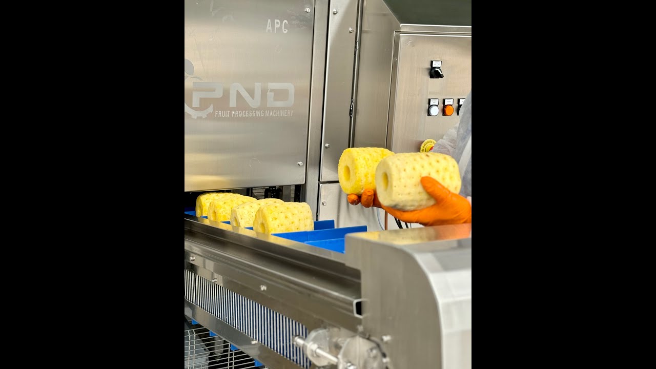 TIDBITS PINEAPPLE CUTTER mod. APC