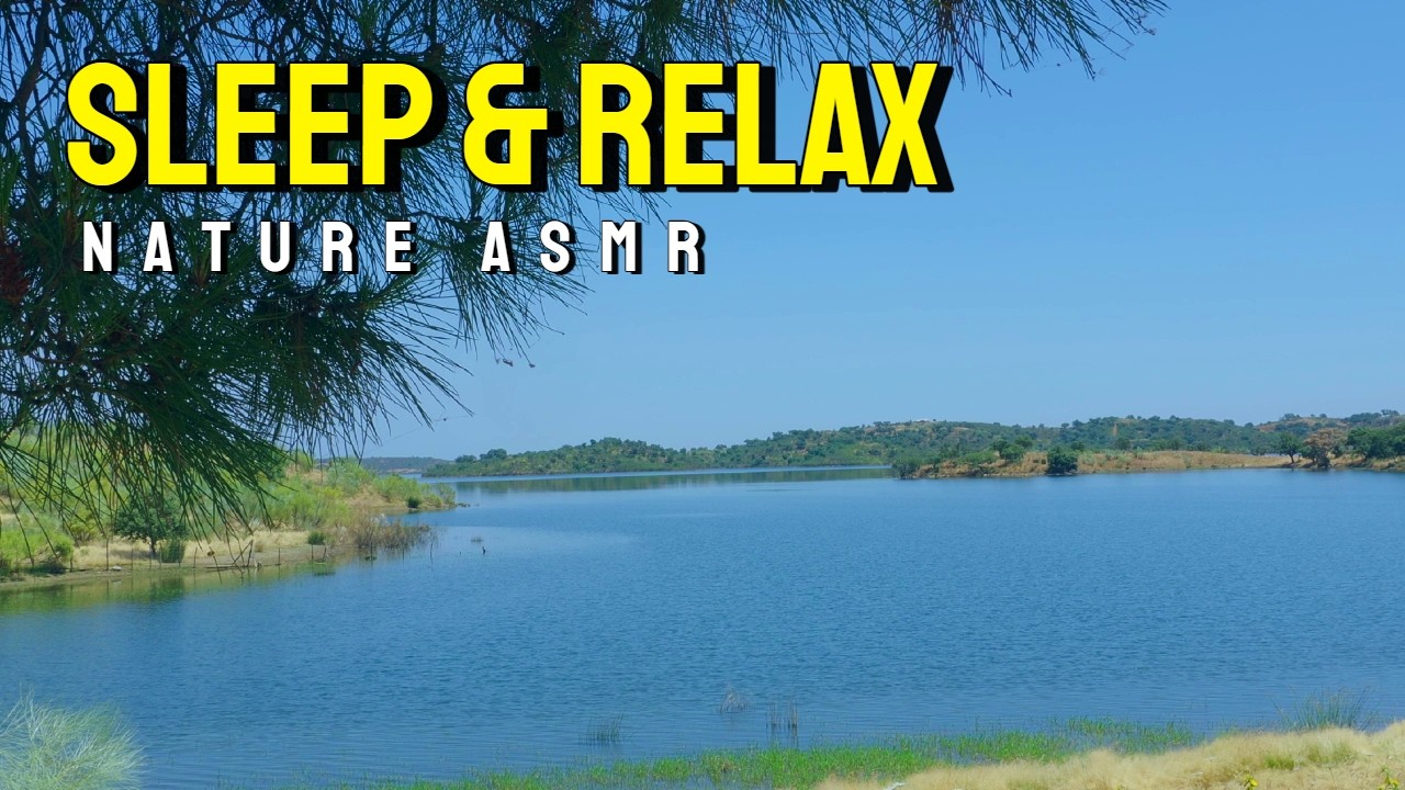 Serene Water Sounds with Birdsongs | Nature ASMR for Relaxation & Study