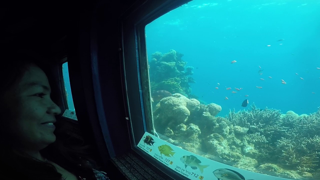 Underwater Observatory Marine Park
