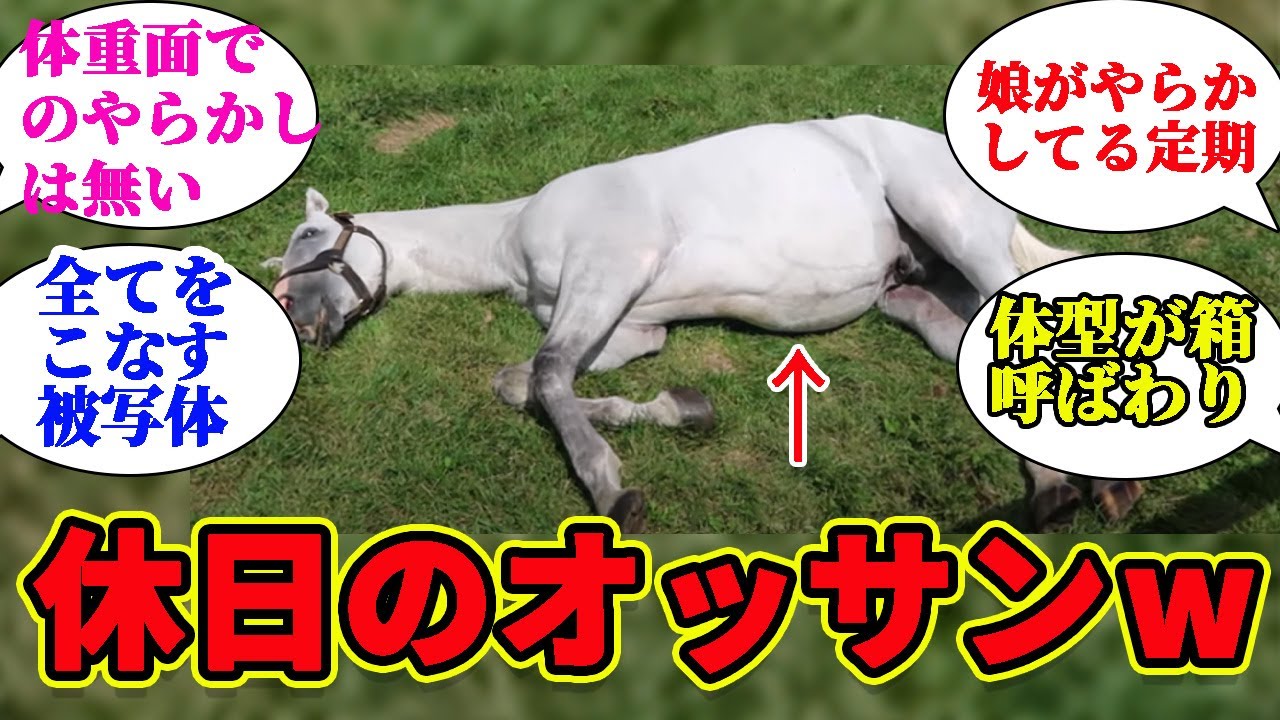 芦毛の馬ってデブとか言われがちだけど、ゴルシの体重管理はどうだったの？対するみんなの反応集