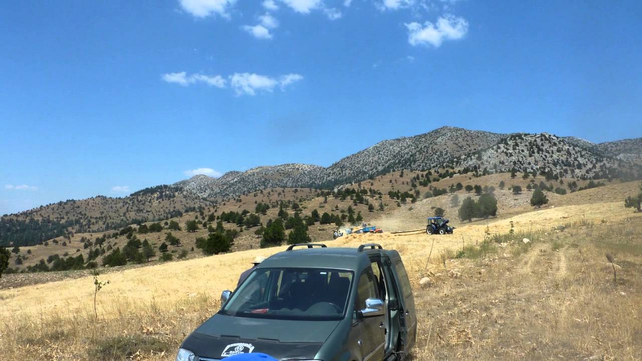 Yesilköy Resimleri