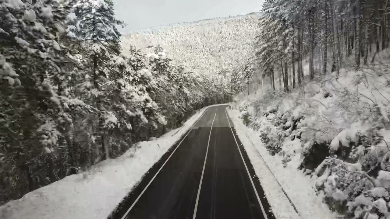 12 dicembre 2021